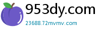 953dy.com